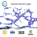 ANAEROBIC BACTERIA AGENT tratamento de efluentes urbanos